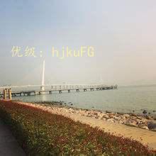 ƻ